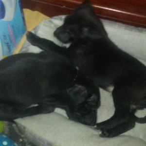 Meet your Posher, Ed mandy